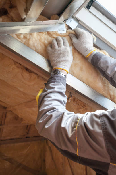 Best Residential Insulation in Minden, NV