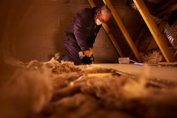 Types of Insulation We Offer in NV